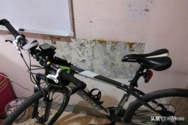 有什么性价比很高的自行车值得推荐?