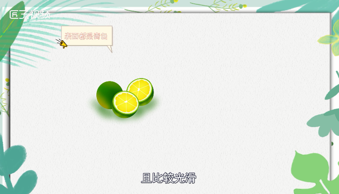青柠檬和黄柠檬的区别