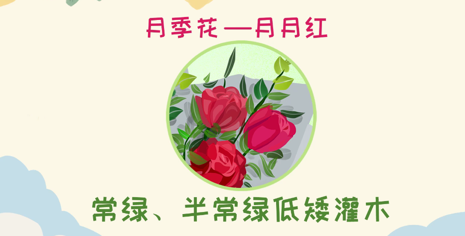 春天有什么花