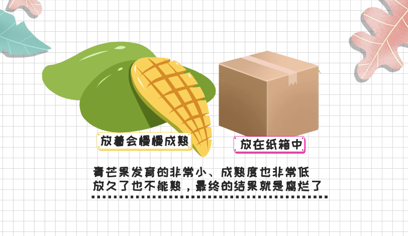 青芒果硬的能直接吃吗