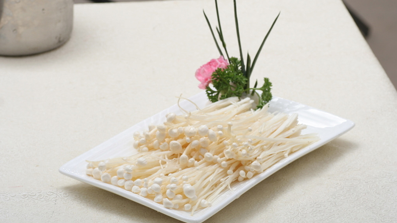 金针茹的根怎么才会长