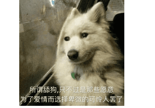 舔狗到底有多卑微 会舔到一无所有吗