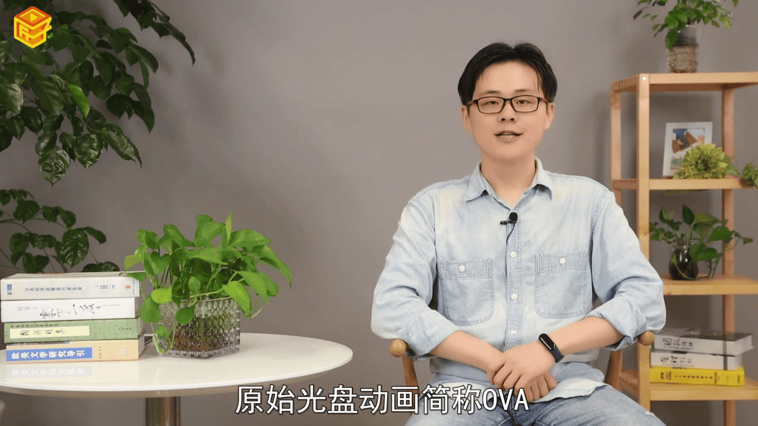 ova什么意思