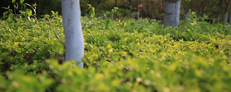 虞山一日游攻略