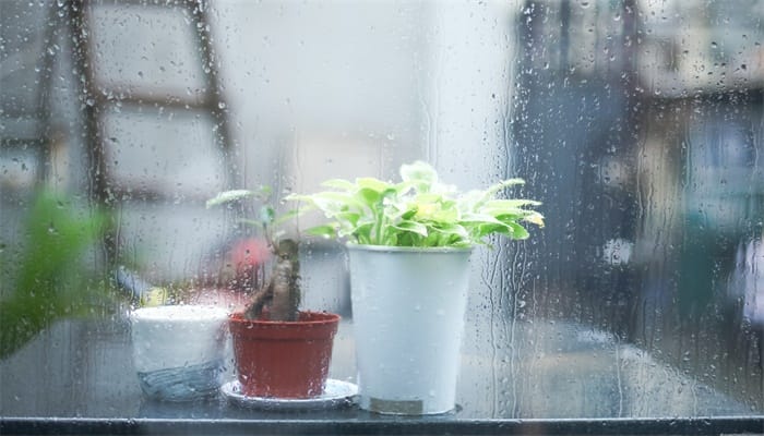 酸雨的酸雨形成原因