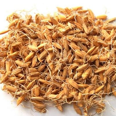 谷芽是稻芽吗 有什么功效与作用