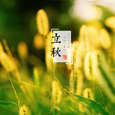 立秋后是不是早晚凉 气候特点是怎样的