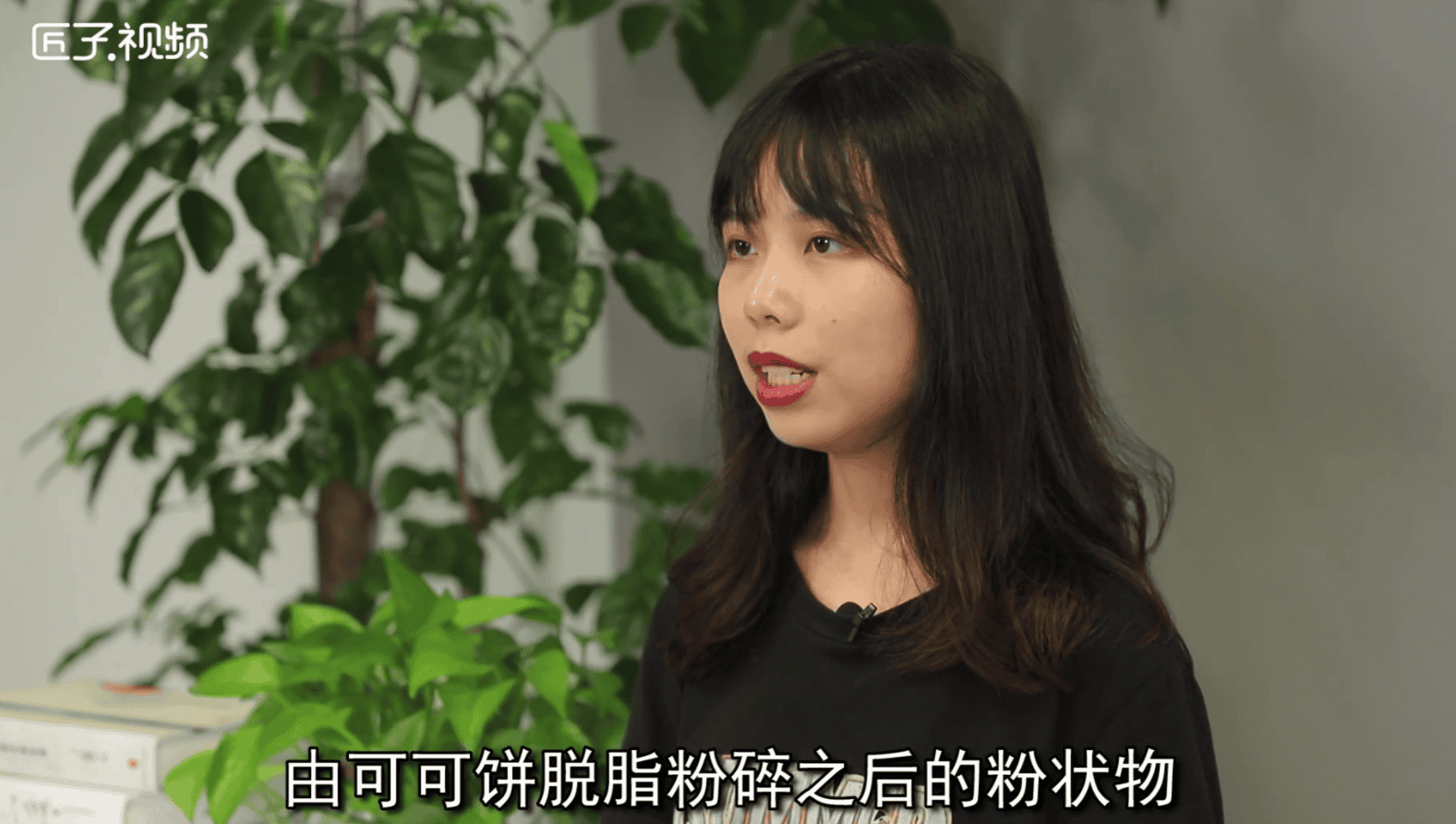 可可粉是什么