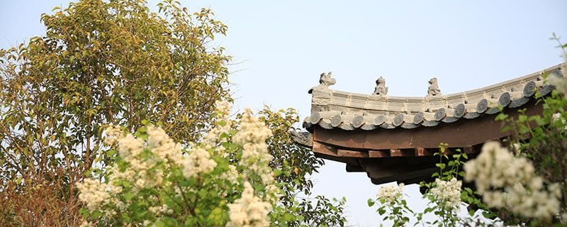 荔枝湾涌游玩攻略