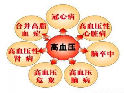 优化高血压治疗，从何入手？