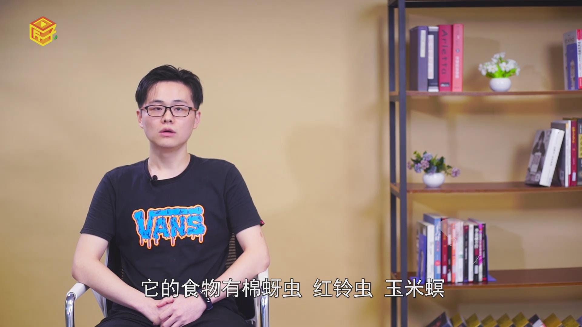 螳螂是益虫还是害虫