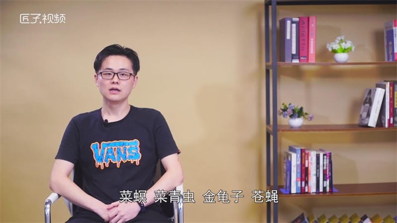 螳螂是益虫还是害虫