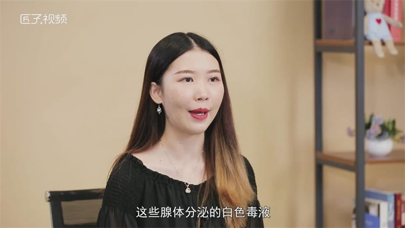 癞蛤蟆有毒吗