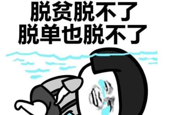 双11的购物车,半个月买了近两万！办公室“女神”双11购物车大公开！太猛了…