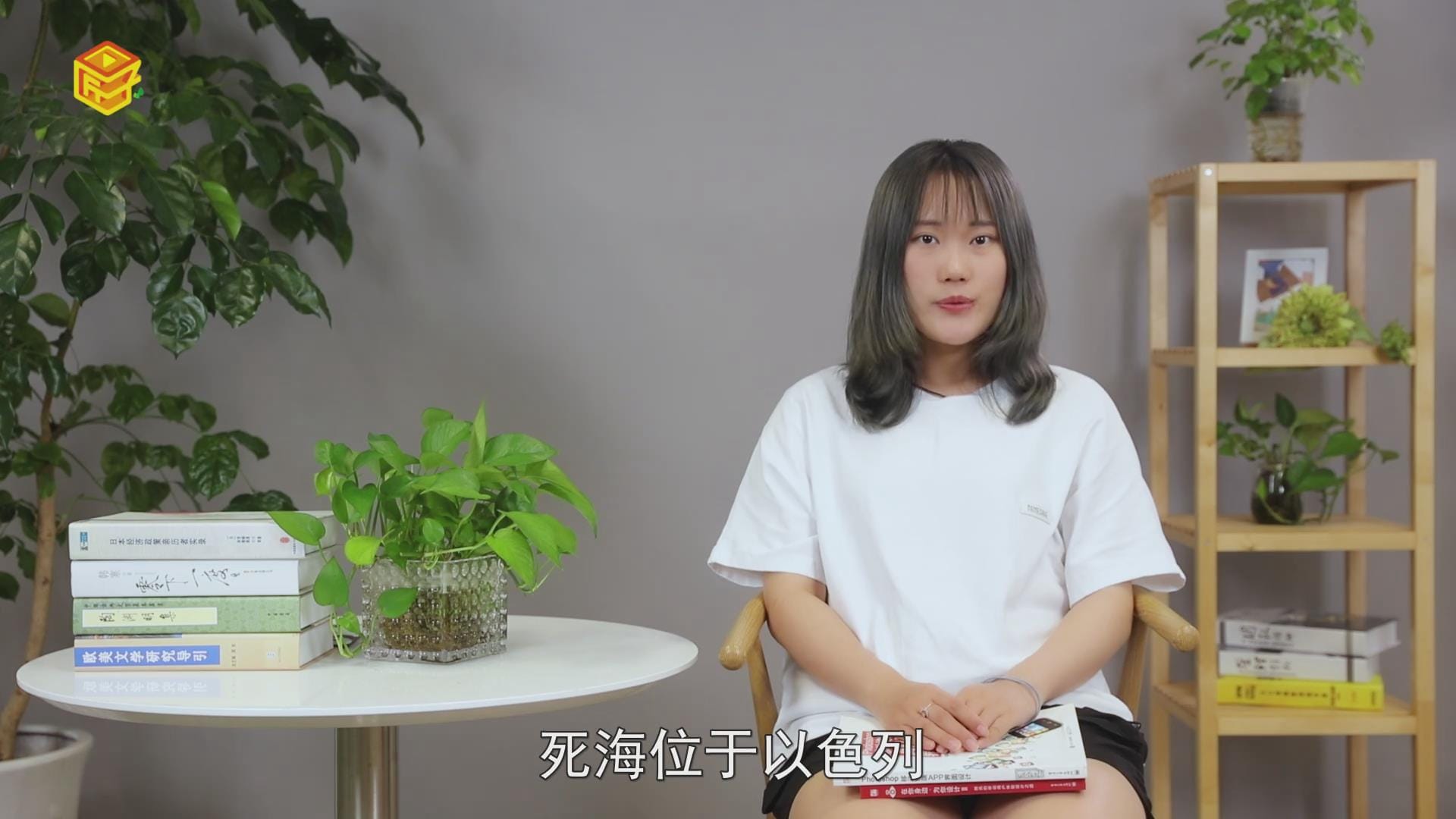 死海在哪里