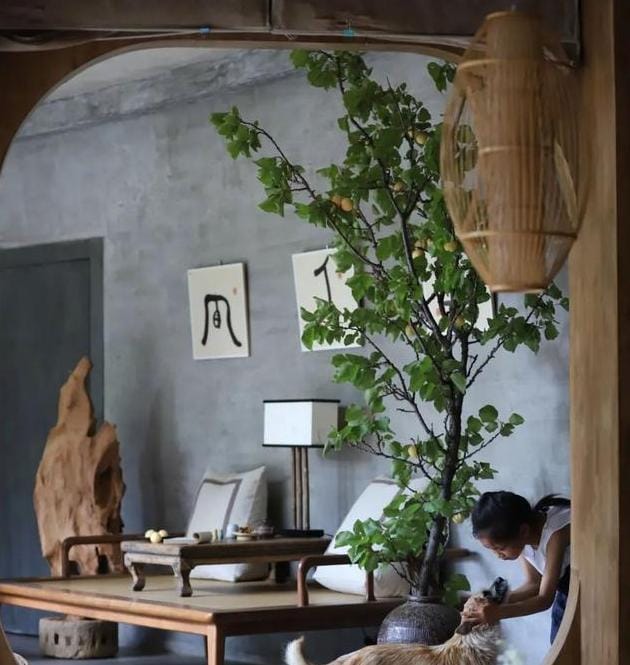 三胎 北京,北京夫妻的三胎之家:空中菜园,家里攀岩,应有尽有