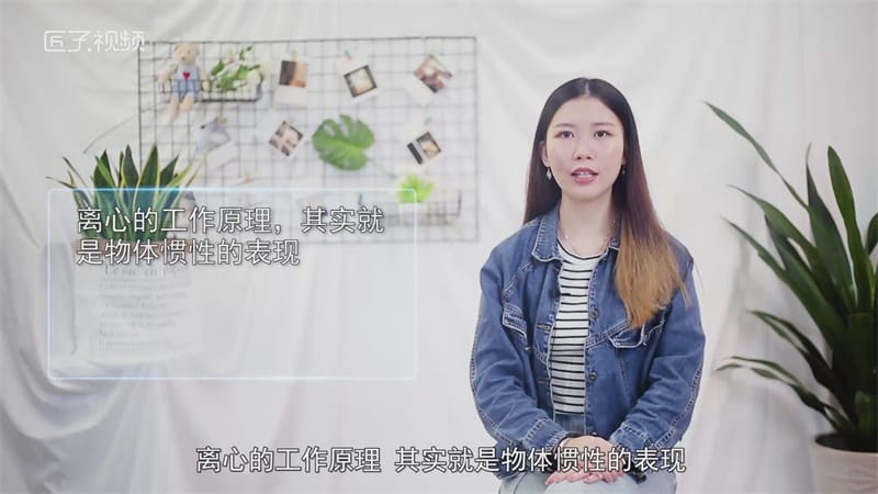 离心泵的工作原理是什么