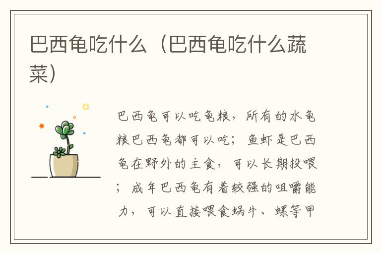 巴西龟吃什么（巴西龟吃什么蔬菜）