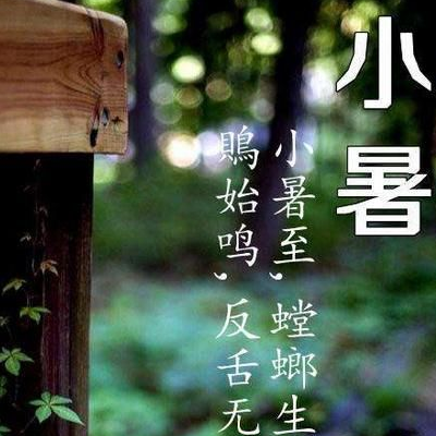2017小暑是几月几日 是入伏吗