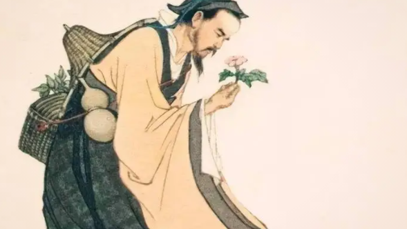 李时珍为什么是药圣（李时珍写了什么医书）