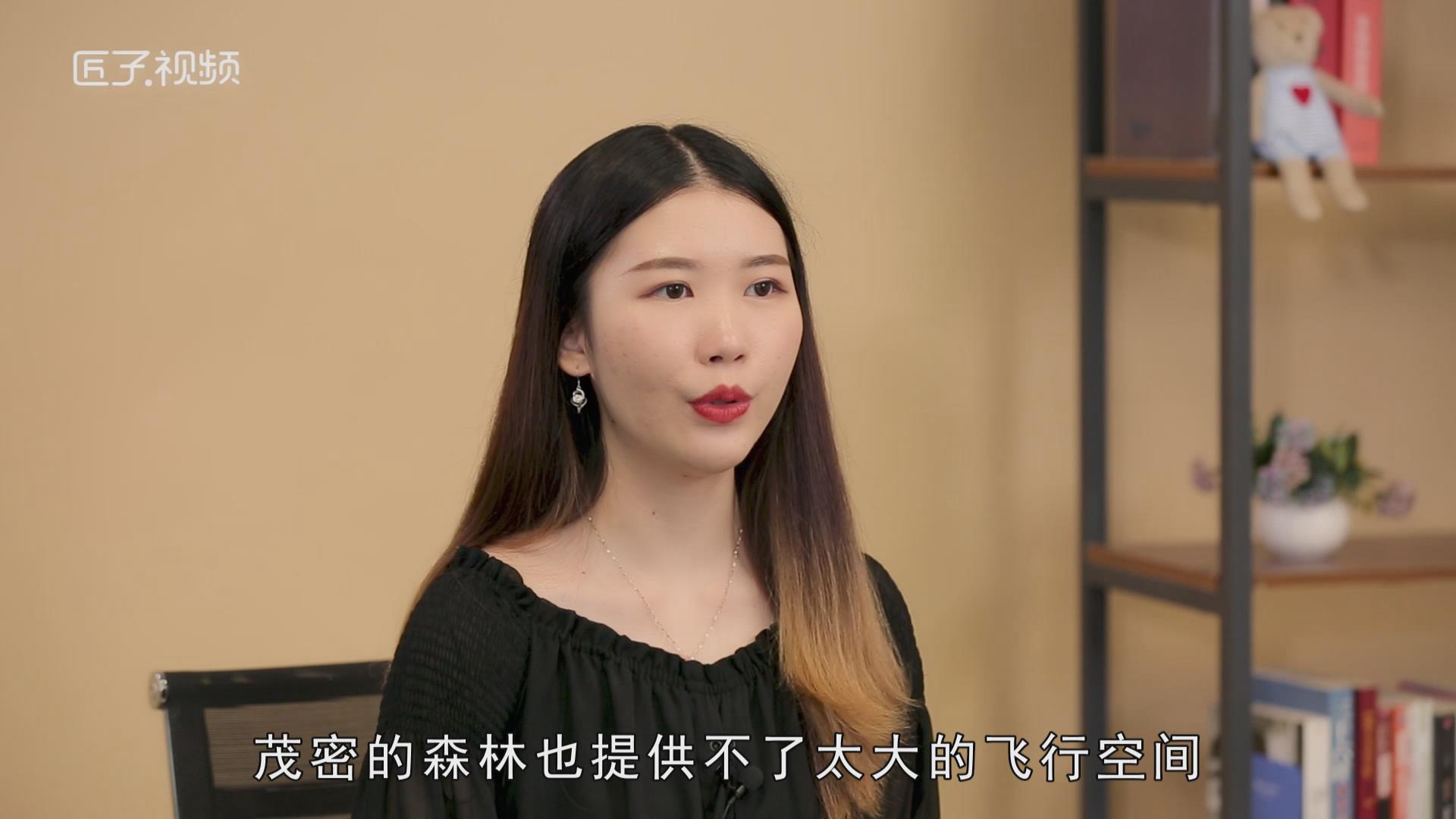 孔雀会飞吗