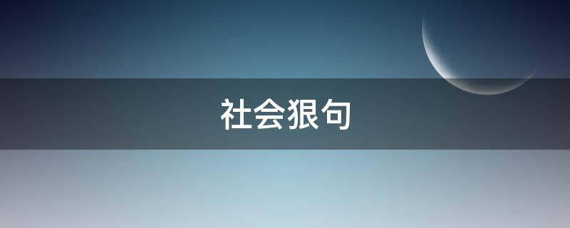 社会狠句（社会狠句语录）