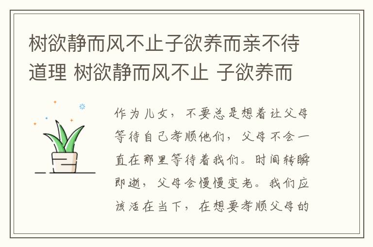 树欲静而风不止子欲养而亲不待道理 树欲静而风不止 子欲养而亲不待道理