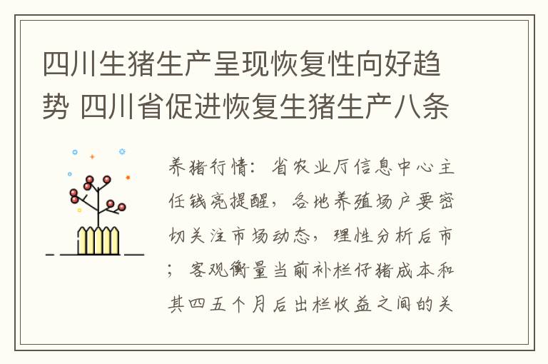 四川生猪生产呈现恢复性向好趋势 四川省促进恢复生猪生产八条举措