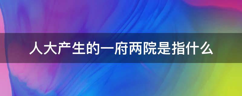 人大产生的一府两院是指什么 人大产生的一府两院指的是什么