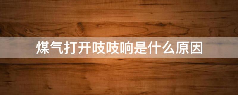 煤气打开吱吱响是煤气煤气什么原因 煤气打开吱吱响是什么原因造成的