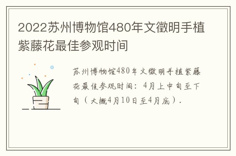 2022苏州博物馆480年文徵明手植紫藤花最佳参观时间