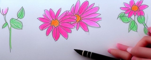 怎样画花朵最简单漂亮
