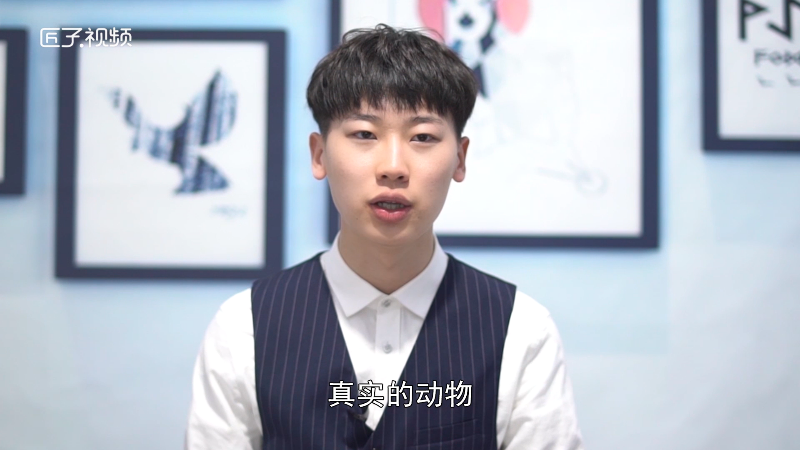 西顿动物故事集主要内容是什么